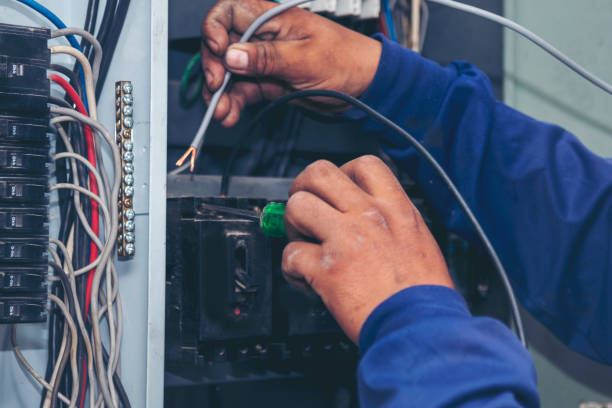 Best Electrician for Home Renovation  in Rock Creek, AL